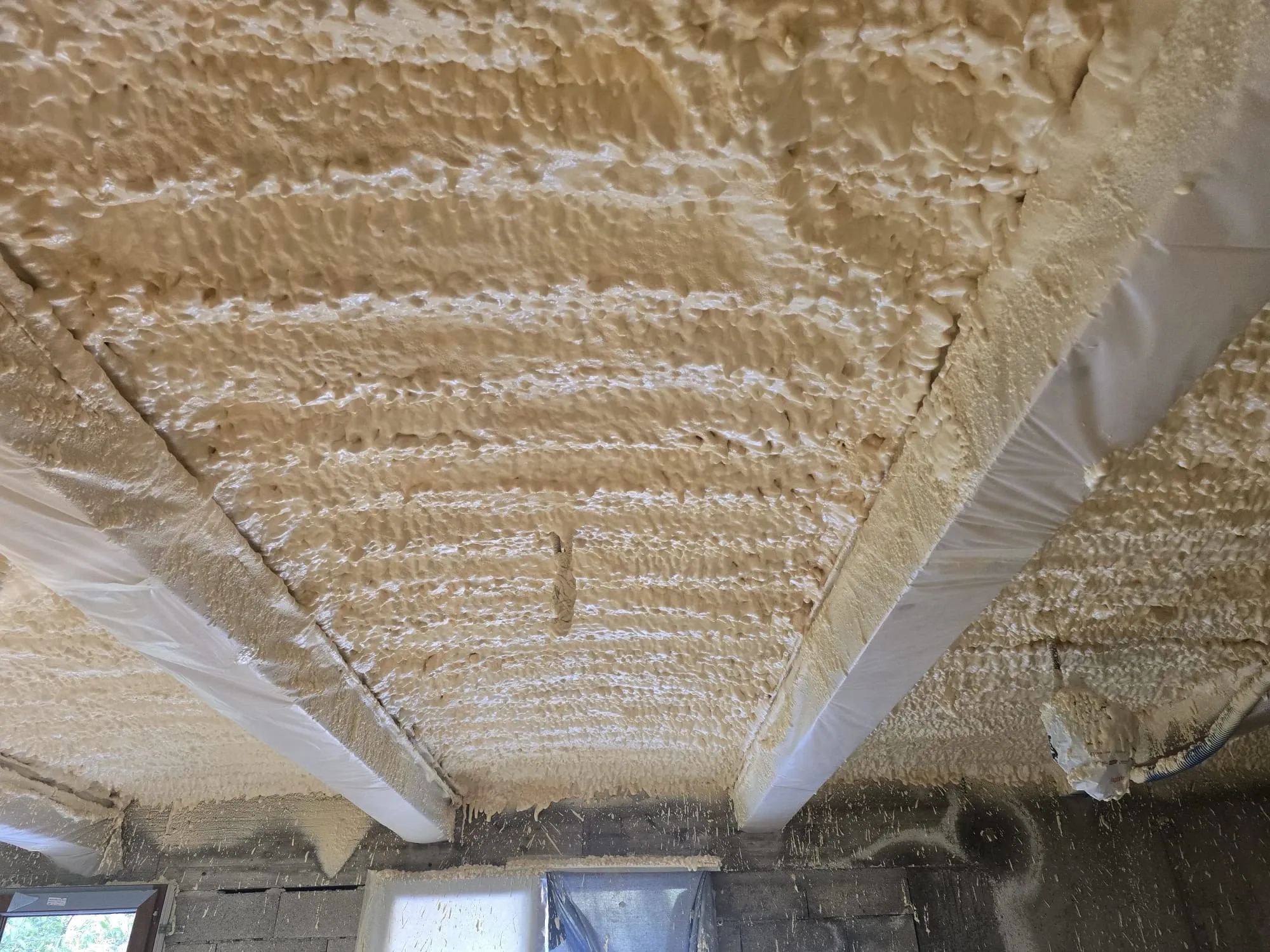Plafond couvert de mousse entre des poutres protégées