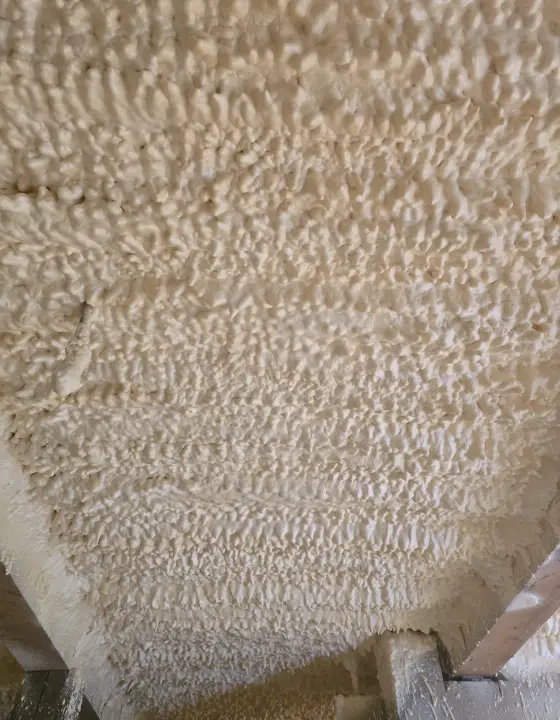 Vue rapprochée de la mousse au plafond
